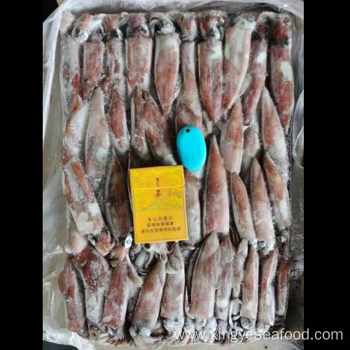 Frozen Squid Whole Round Block Frozen Loligo Chinensis